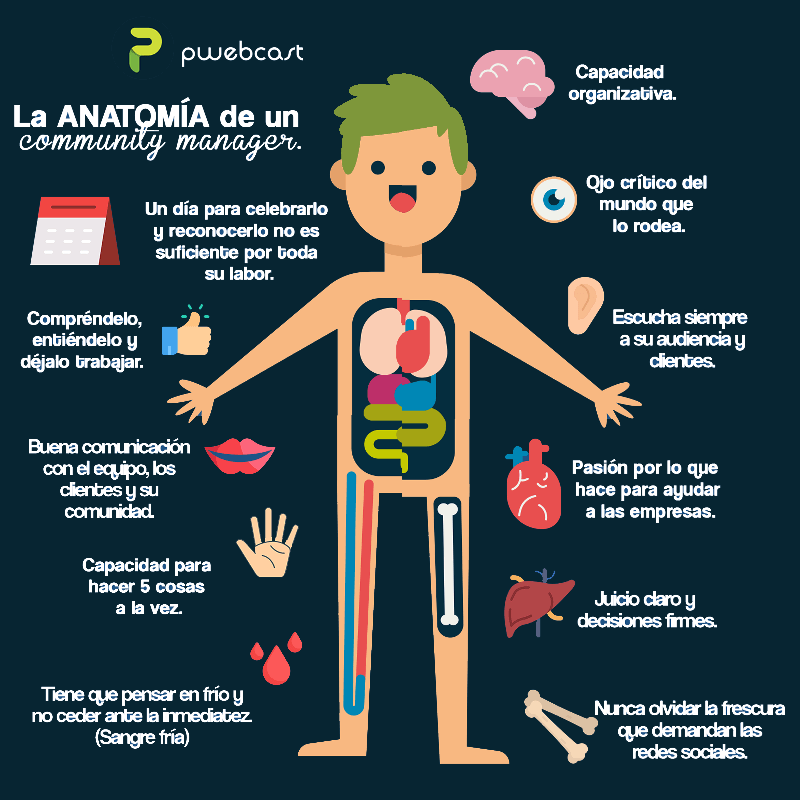 ANATOMIA-DE-UN-CM